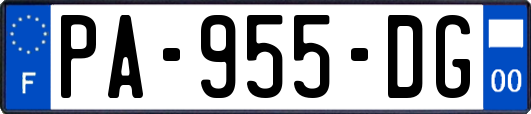 PA-955-DG