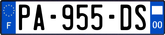 PA-955-DS