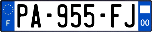 PA-955-FJ
