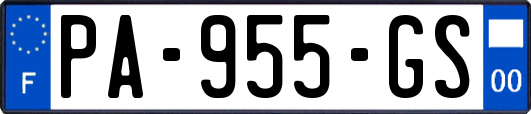 PA-955-GS