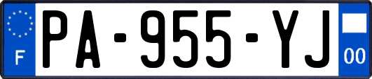 PA-955-YJ