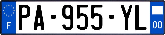 PA-955-YL