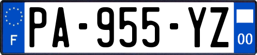 PA-955-YZ