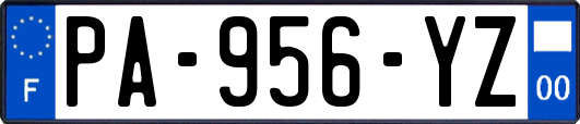 PA-956-YZ