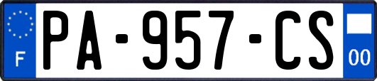 PA-957-CS