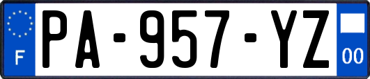 PA-957-YZ
