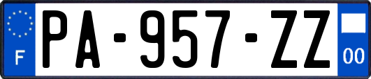 PA-957-ZZ