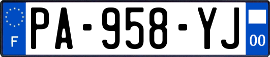 PA-958-YJ