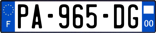 PA-965-DG