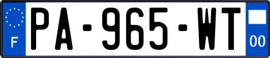 PA-965-WT