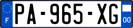 PA-965-XG