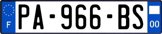 PA-966-BS