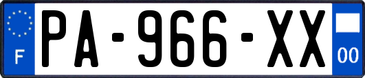 PA-966-XX
