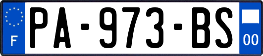 PA-973-BS