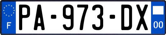 PA-973-DX