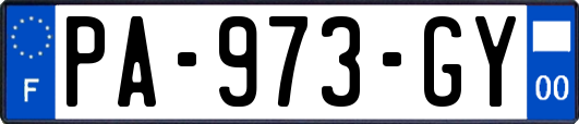 PA-973-GY