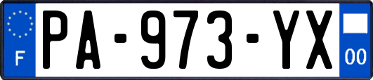 PA-973-YX