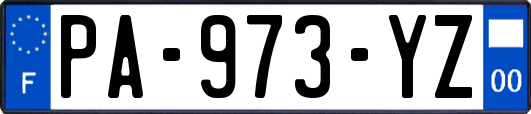 PA-973-YZ