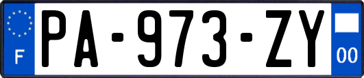 PA-973-ZY