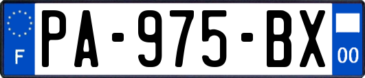 PA-975-BX