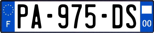 PA-975-DS