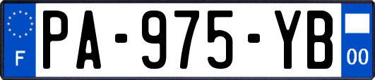 PA-975-YB