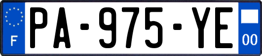 PA-975-YE