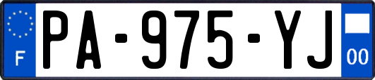 PA-975-YJ