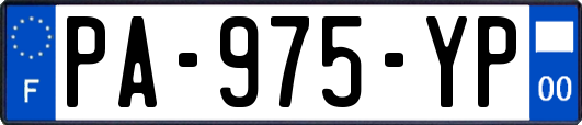 PA-975-YP