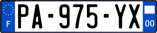 PA-975-YX