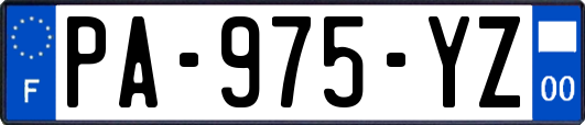 PA-975-YZ