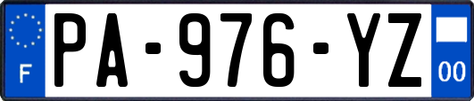 PA-976-YZ