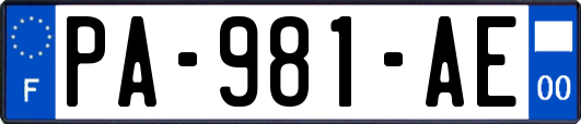 PA-981-AE