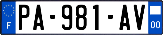 PA-981-AV