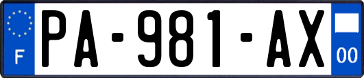 PA-981-AX