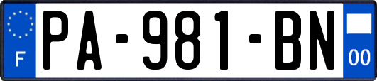 PA-981-BN