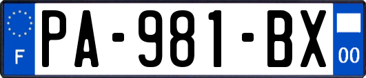 PA-981-BX