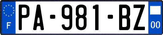 PA-981-BZ