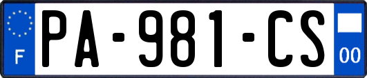 PA-981-CS