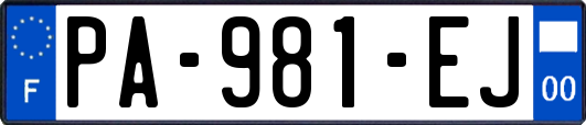 PA-981-EJ