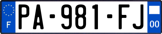 PA-981-FJ