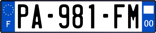 PA-981-FM