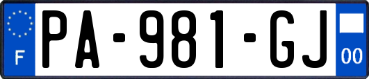 PA-981-GJ