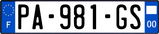 PA-981-GS