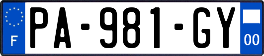 PA-981-GY
