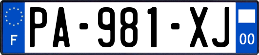 PA-981-XJ