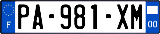 PA-981-XM