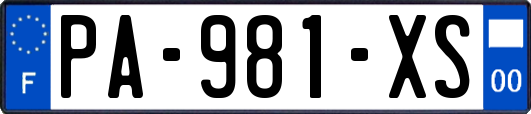PA-981-XS