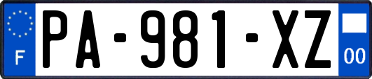PA-981-XZ