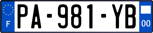 PA-981-YB